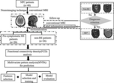 Functional Connectivity Density for Radiation Encephalopathy Prediction in Nasopharyngeal Carcinoma